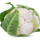 Blumenkohl