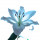 Blaue Lilien